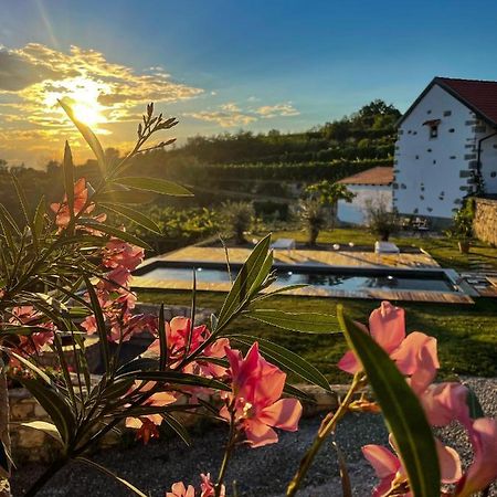 Hostal Škerlj Wine Estate Tomaj Exterior foto