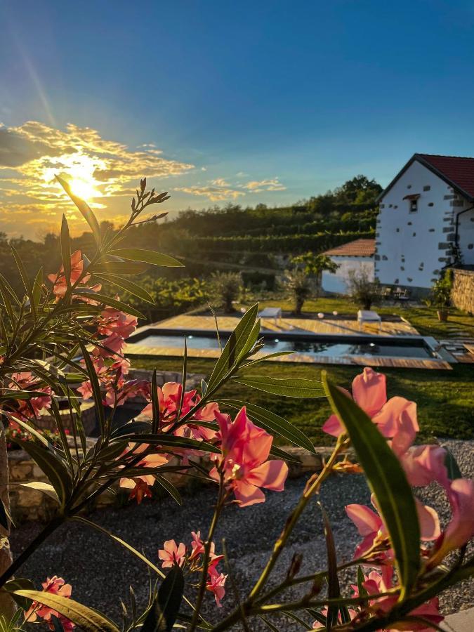 Hostal Škerlj Wine Estate Tomaj Exterior foto