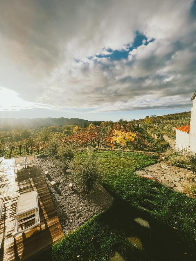 Hostal Škerlj Wine Estate Tomaj Exterior foto